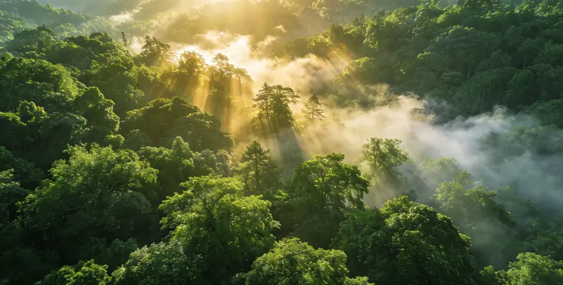 上饶肺癌68基因检测图片1