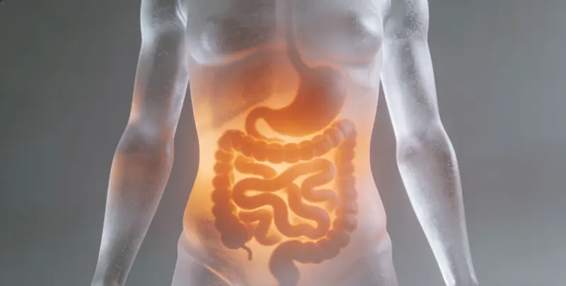 上饶肠癌甲基化检测图片1